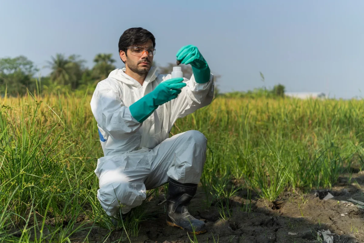 A technician collecting and assessing soil samples outdoors.